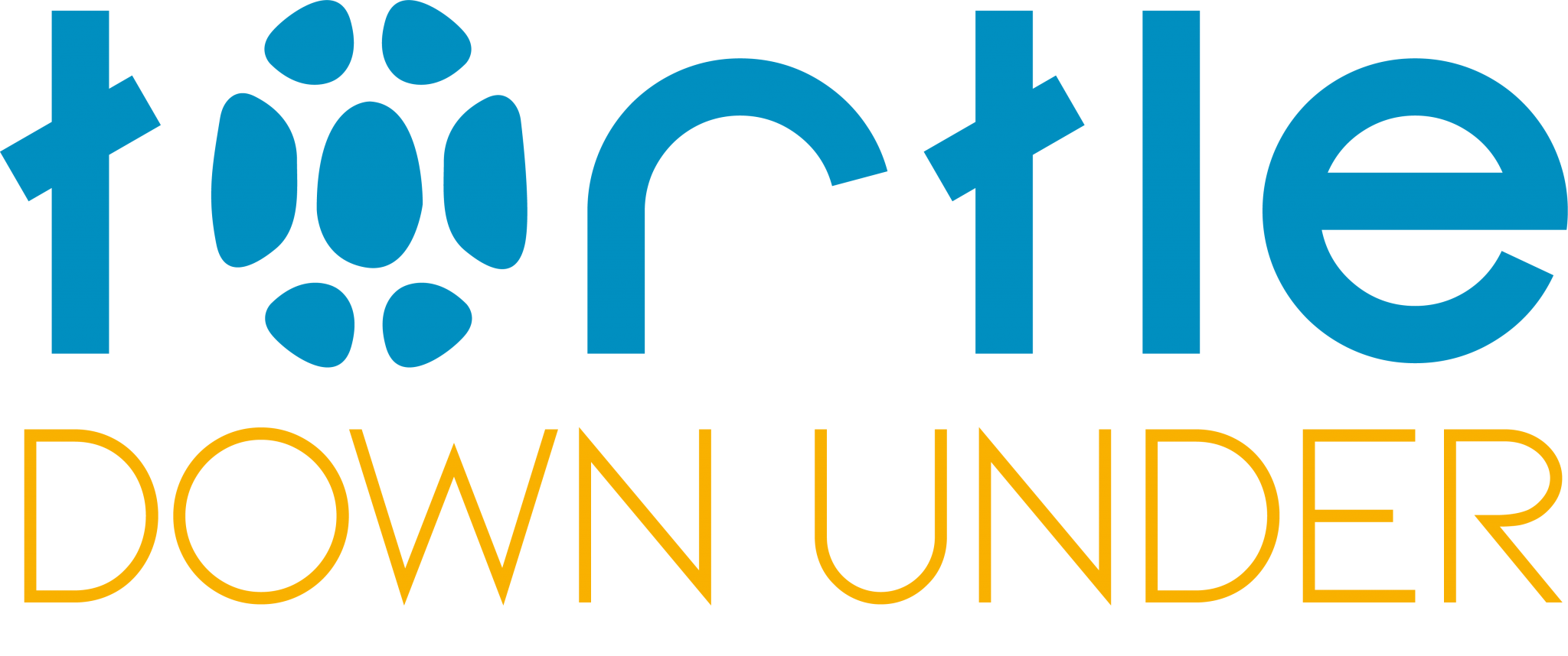 Turtle Down Under Create, Edit and Sell experiences to Australia in