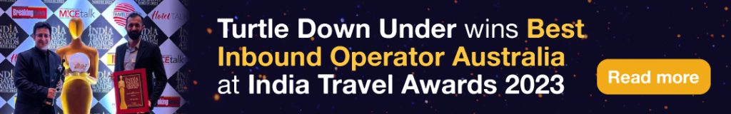 Turtle Down Under